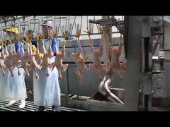 Uma picadora em forma