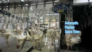 depenador automático