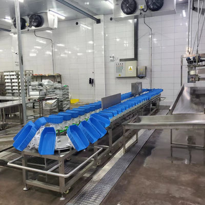 Caixa de plástico Pato de frango Cinturão de aves de capoeira Máquina de classificação de peso para abate