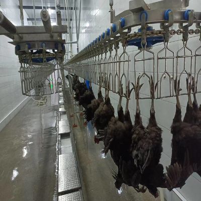Linha de abate de frangos de aço inoxidável Máquinas de processamento de aves de capoeira com ajuste flexível