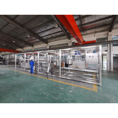 Máquina automática de abate de frangos de 1000bph
