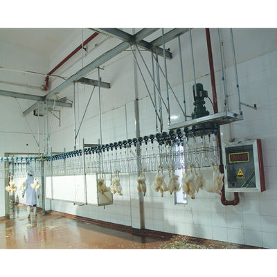 Máquina automática de abate de frangos de 800 a 2000 b/h