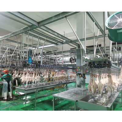 Fabricação de instalações de transformação de carne de aves de capoeira com função de escaldamento de 380 V
