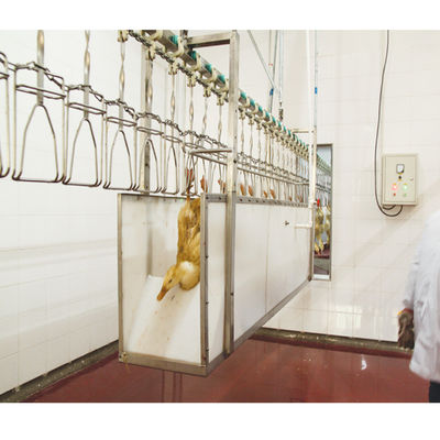 Equipamento de abate de aves de capoeira Halal de tensão personalizada para processamento de alta capacidade