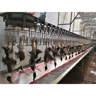 Linha de produção de abate de frangos de aço inoxidável para várias capacidades de produção