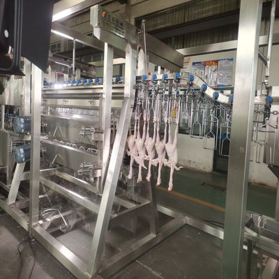 Containerizado Última linha de abate de frango móvel de design para a indústria avícola