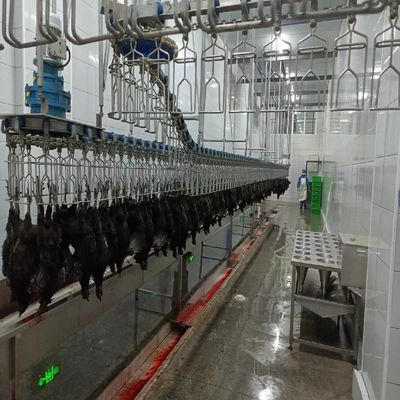 Máquina de abate semiautomática simplificada Equipamento de processamento de aves de capoeira em pequena escala