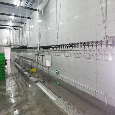 Solução de máquina de linha de abate de frango de aço inoxidável para processamento de aves de capoeira