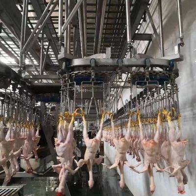 Máquina de abate automática 220V / 380V linha de processamento de abate de aves