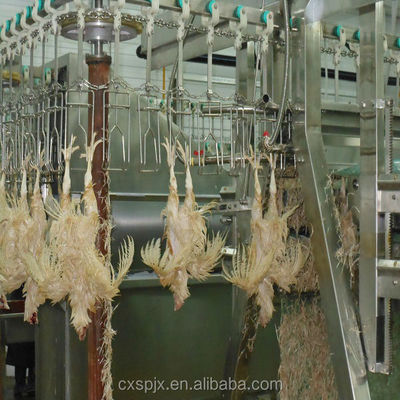 Máquina de processamento de aves de capoeira de tensão 380V/220V para descascar frangos e abate halal