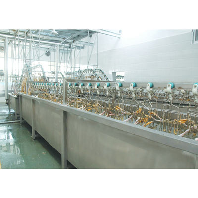 Máquina de abate de patos de 3000BPH 380V / 220V Equipamento de processamento de aves de capoeira