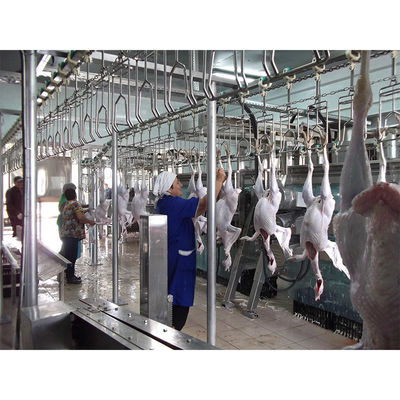 Equipamento de abate de frangos de aço inoxidável 304 com tensão de 380 V e fácil manutenção