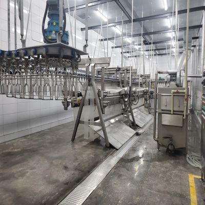 6000bph POILTRY Slaughter Line Matador para melhorar a produtividade
