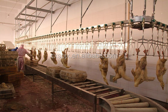 Máquina 304 220V de aço inoxidável de Duck Goose Processing Line Slaughter da galinha