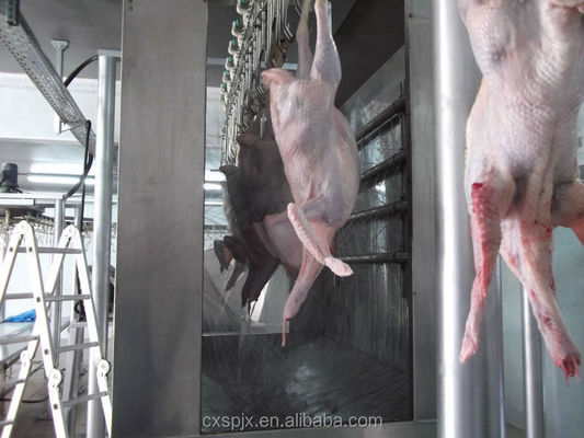 Máquina de abate de patos homologada pelo CE para linha de processamento de carniceiros de aves de capoeira