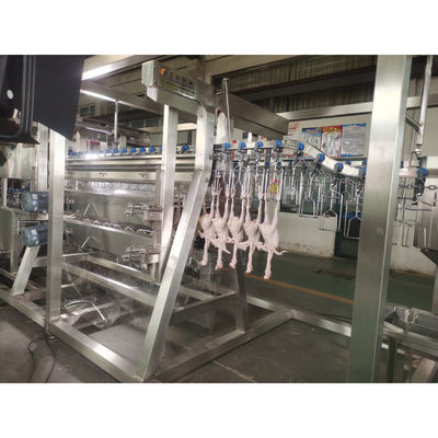 200BPH 300BPH 500BPH Automática de corte de matadouro de ganso, pato, frango, matadouro, matadouro, linha de processamento, sistema de máquinas