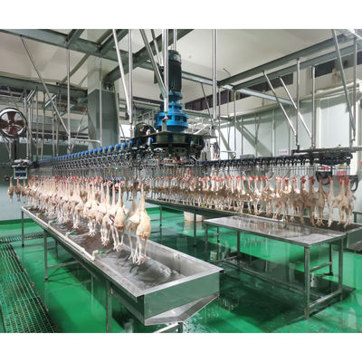 Máquina automática de abate de frango para processamento de frango