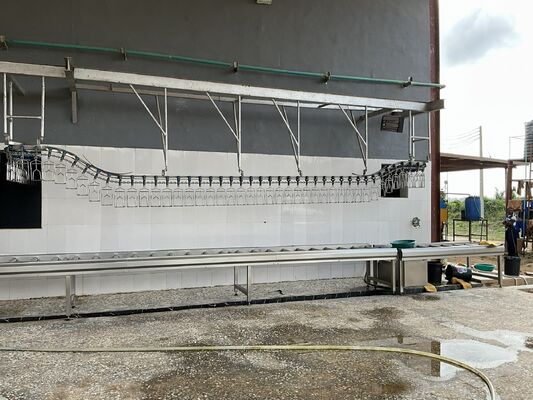 Linha de processamento de aves turnkey de alta eficiência com certificação Halal para 1000 aves por hora